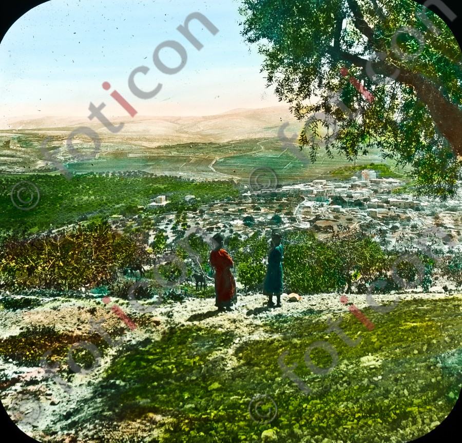 Hirten in Palästina | Shepherds in Palestine (foticon-simon-054-047.jpg)